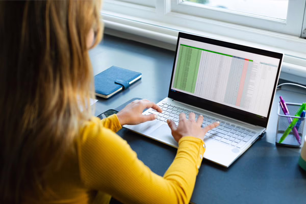 Hire a Data Entry Expert at Low Cost